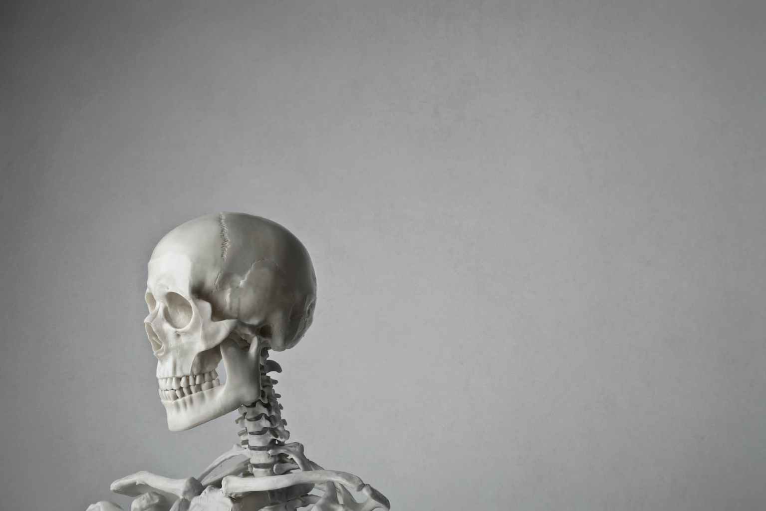 The Best Human Skeleton Models for Learning Anatomy