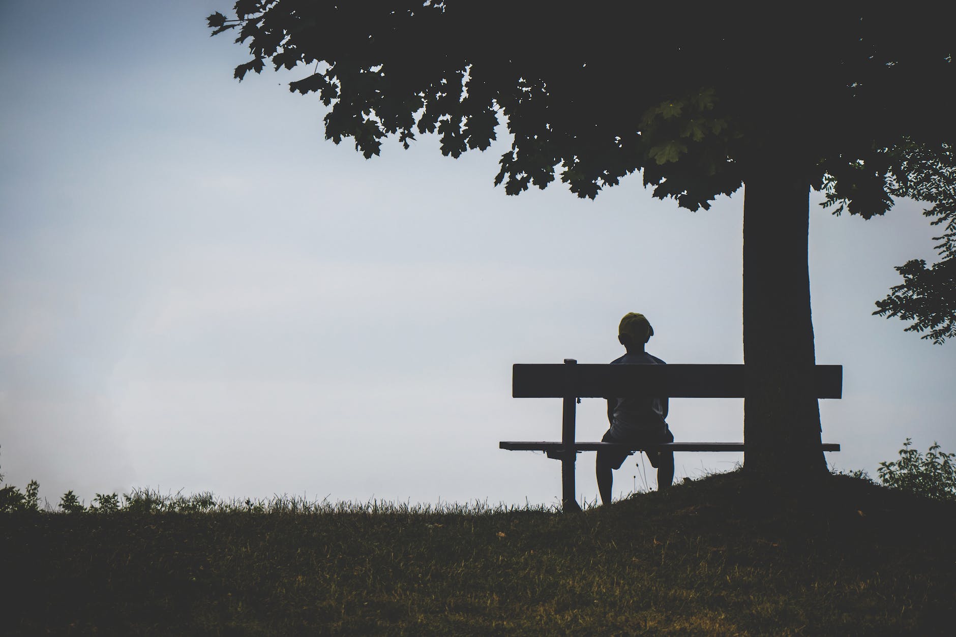 person sitting on bench under tree radiology can be solitary